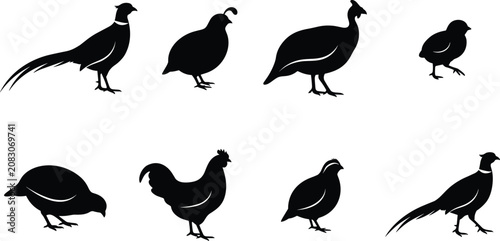 Cuadro en lienzo Set of poultry and game bird silhouettes for farm branding hunting clubs and but