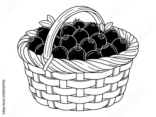 Wicker basket filled with blueberries black and white line art illustration