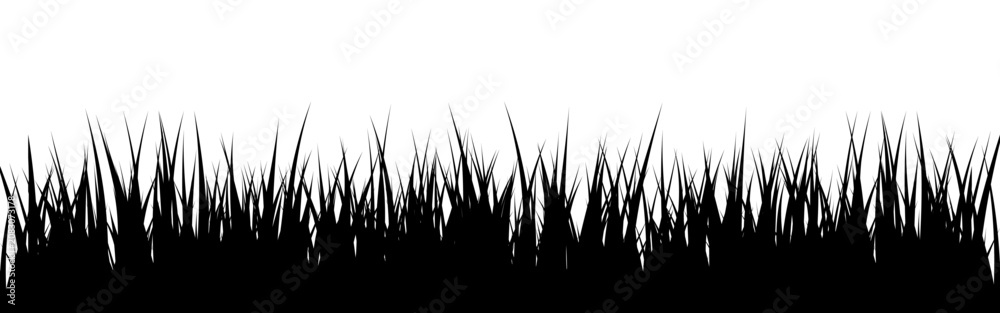 Fototapeta premium Meadow silhouette with grass, plants on plain. Panoramic summer lawn landscape with herbs, various weeds. Herbal border, frame element. Black horizontal banners. Vector illustration