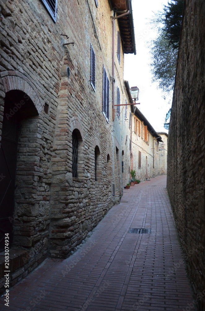 Obraz premium Medieval town of San Gimignano