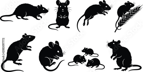Foto Collection of Mouse and Rat Silhouettes Featuring Various Poses and Activities i