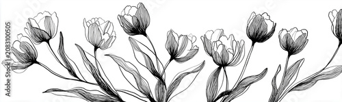 A graphic illustration of tulips in a continuous line art style. the artwork showcases nine tulip flowers and their foliage, emerging from a single horizontal line that spans the bottom of the frame.