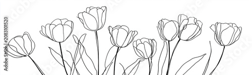 A graphic illustration of tulips in a continuous line art style. the artwork showcases nine tulip flowers and their foliage, emerging from a single horizontal line that spans the bottom of the frame.