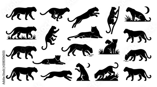Photography Panther silhouette illustration collection featuring dynamic poses and natural s