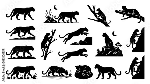 Photography Panther silhouette illustration collection featuring dynamic poses and natural s
