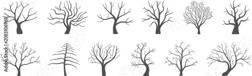 Tableau sur toile Collection of bare tree silhouettes without leaves in various shapes and sizes i