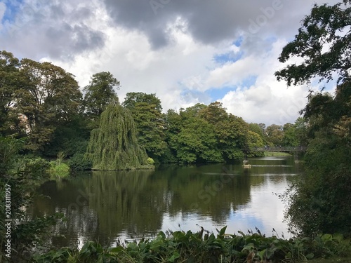 Photography Scenic park lake with weeping willow and bridge in Copenhagen
