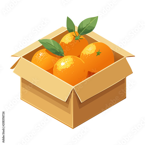 Open cardboard box filled with ripe golden oranges for farm market shipping container graphic - Vector Illustration