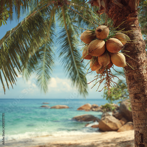 coconut trees on a beautiful beach with attractive view generated by AI 
