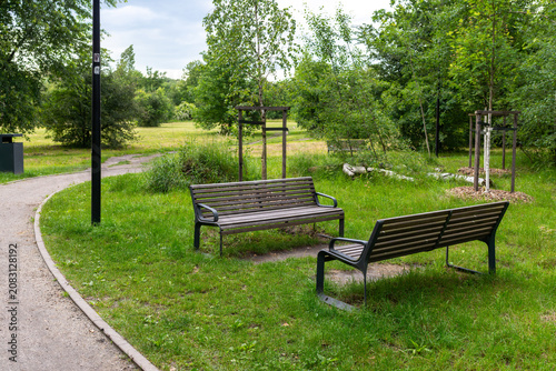 Two empty wooden benches stand beside a curved park path with grass, young trees, shrubs, and a black lamppost. Useful for public space, rest area, urban greenery, walking route, relaxation, and outdo