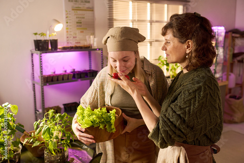 Принти на полотні Middle aged woman and young adult woman harvesting and smelling fresh vegetables