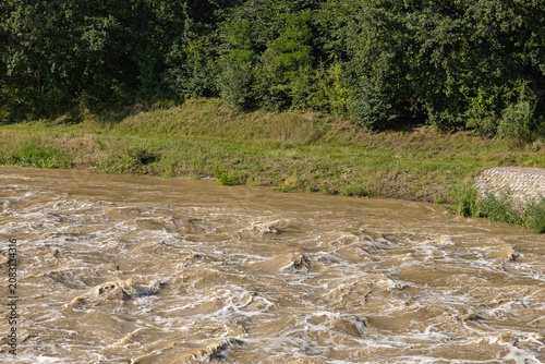 Raging muddy brown river flooding rapidly near a grassy bank with green forest trees after heavy rain storm. Environmental disaster, flood catastrophe and climate change crisis
