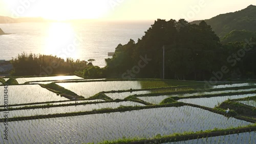 夕暮れ時の海のそばの棚田