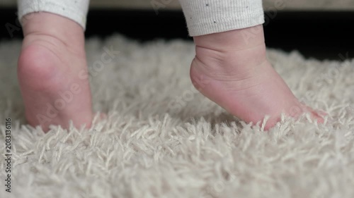 Small curious movements. Gentle steps explore fresh terrain. Delicate strides investigate unfamiliar surfaces cautiously. Baby steps with curiosity guide exploration across comfortable flooring safely