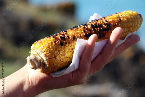 Obraz na plátne A hot, sweet corn on the hand, roasted on a coal grill and sprinkled with salt o