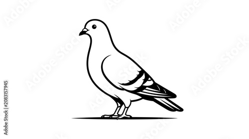Pigeon standing alone in a serene environment eating vector illustration