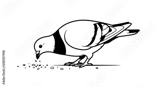 Two pigeons are in love and eating together outside on the ground