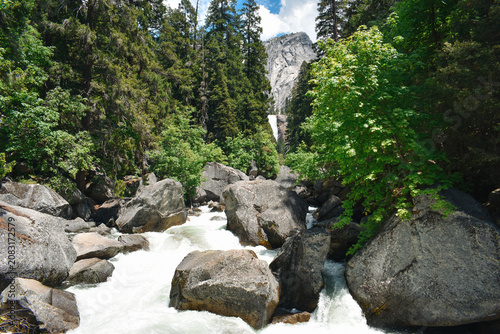 waterfall in the forest