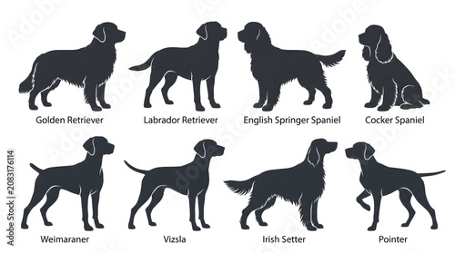 Tableau sur toile Dog breeds, black silhouettes, Golden Retriever, Labrador Retriever, English Spr