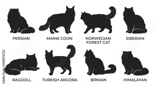 Принти на полотні Cat Breeds Silhouettes, Feline Icons, Black Cat Shapes, 8 Breeds Collection