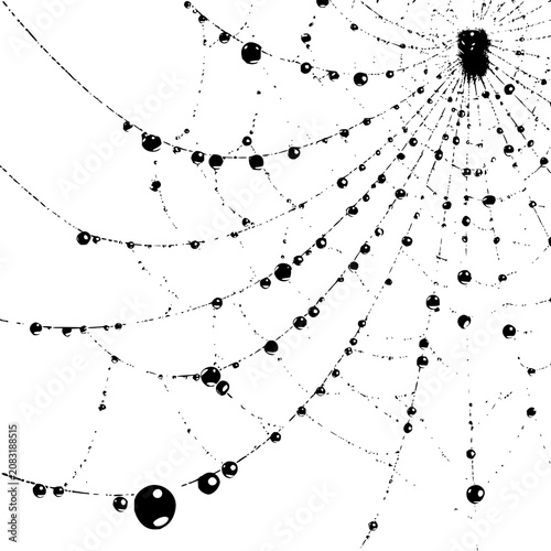 Spiderweb with dew drops in high contrast black and white artistic detailed illustration style image