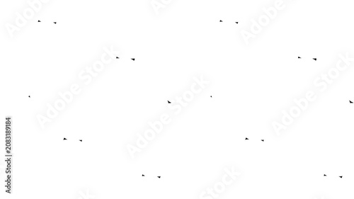 Small black bird silhouettes flying in the sky 4K Motion video