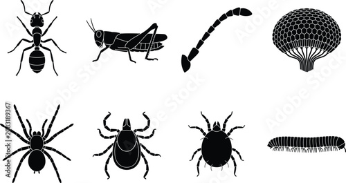 Konstfotografi Black Silhouette Icons of Arthropods and Insect Structures for Biology and Natur