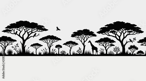 Photography African savannah landscape silhouette