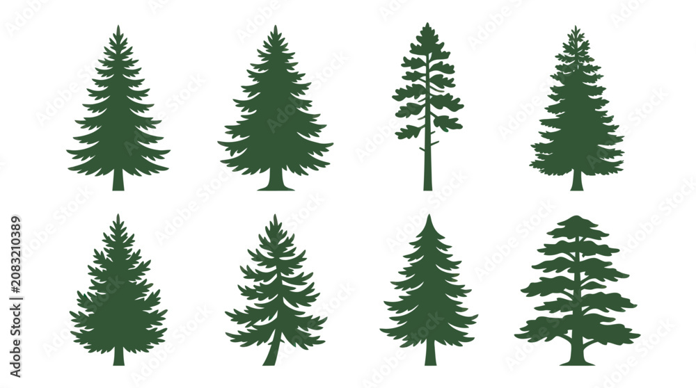 Fototapeta premium Collection of evergreen tree silhouettes