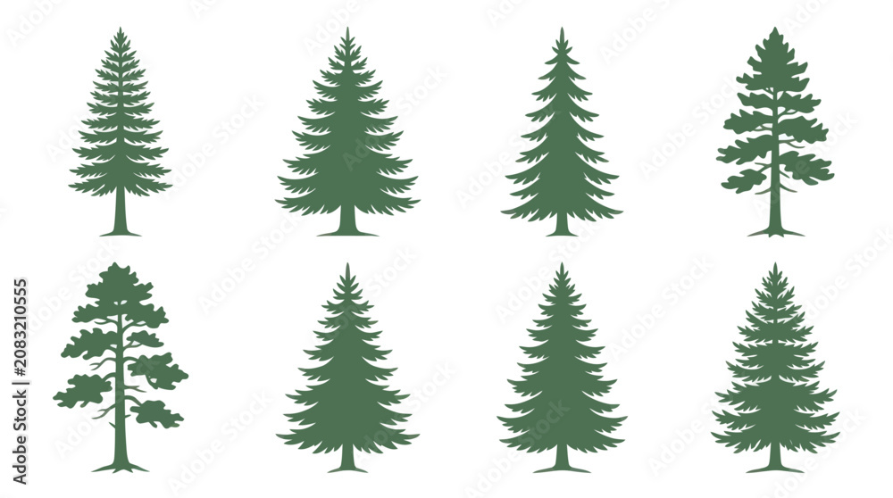Obraz premium Collection of evergreen tree silhouettes