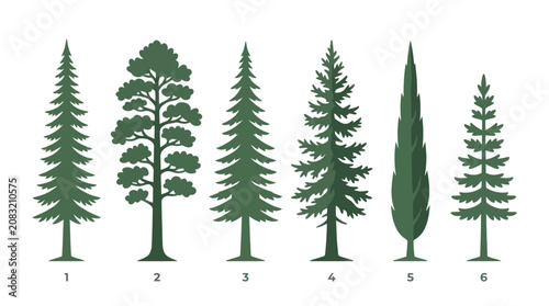 Collection of evergreen tree silhouettes
