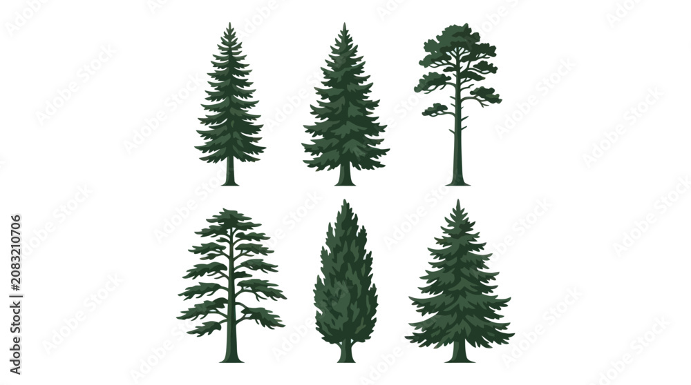 Obraz premium Collection of evergreen trees