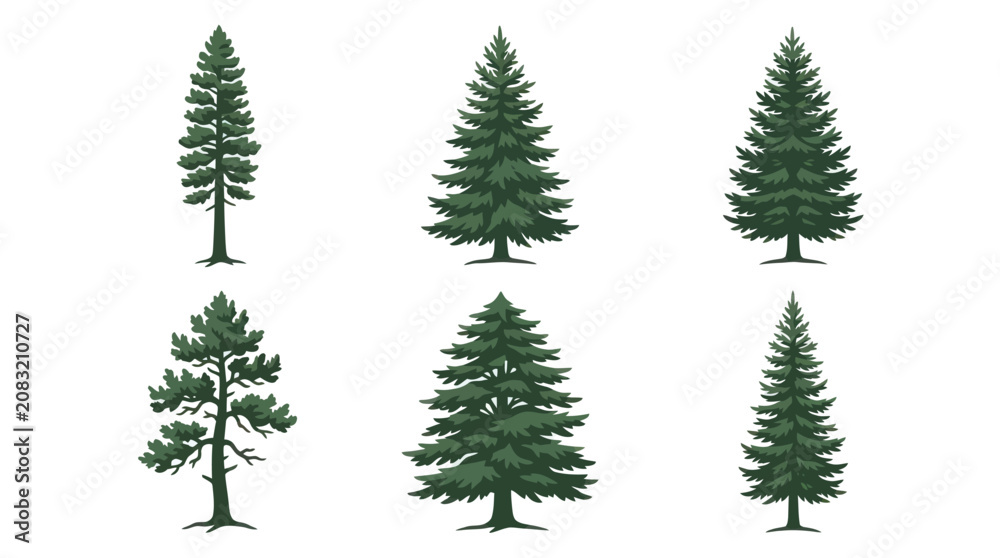 Obraz premium Collection of evergreen trees