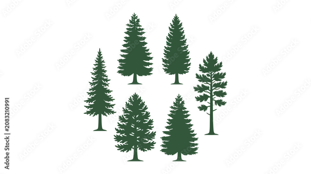 Obraz premium Collection of evergreen trees silhouette