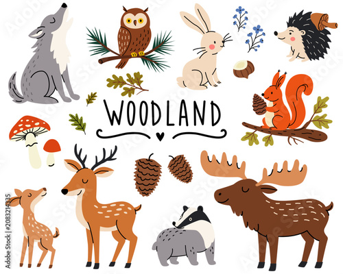 Vector forest animal elements in doodle style.Collection of cute forest wild animals including wolf,hedgehog with mushroom on its back, deer,rabbit,squirrel on tree with cone,badger