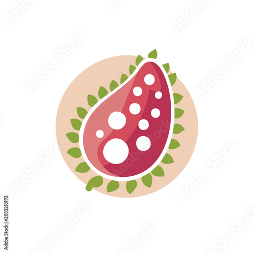 Pomegranate slice with seeds and leaves vector illustration