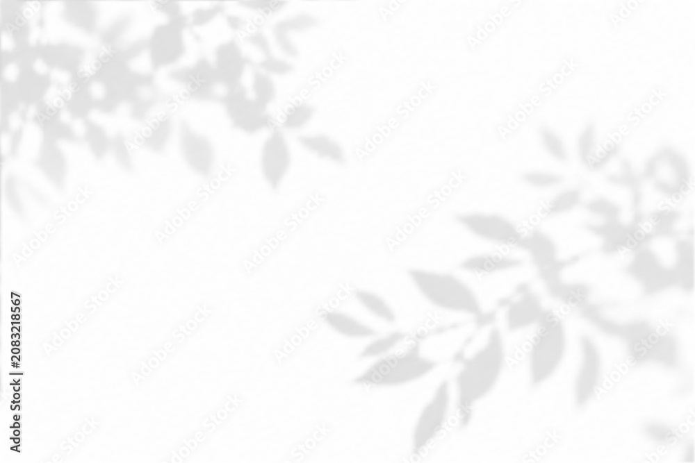 Fototapeta premium Abstract branch shadow and summer sunlight dappled shadow overlay effect with realistic abstract natural tree leaves shadow on wall background, abstract shadow background with branch