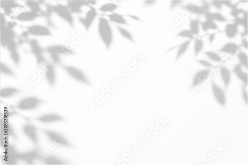 Shadow overlay effects of realistic abstract natural tree leaves shadow on wall background, summer sunlight dappled branch shadow with abstract background with branch