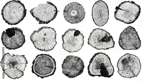 Schilderij op canvas Collection of diverse tree ring cross sections showcasing organic growth pattern