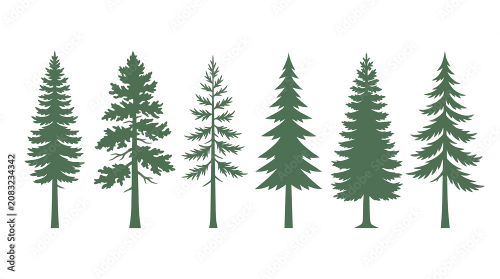 Obraz premium Variety of evergreen tree silhouettes