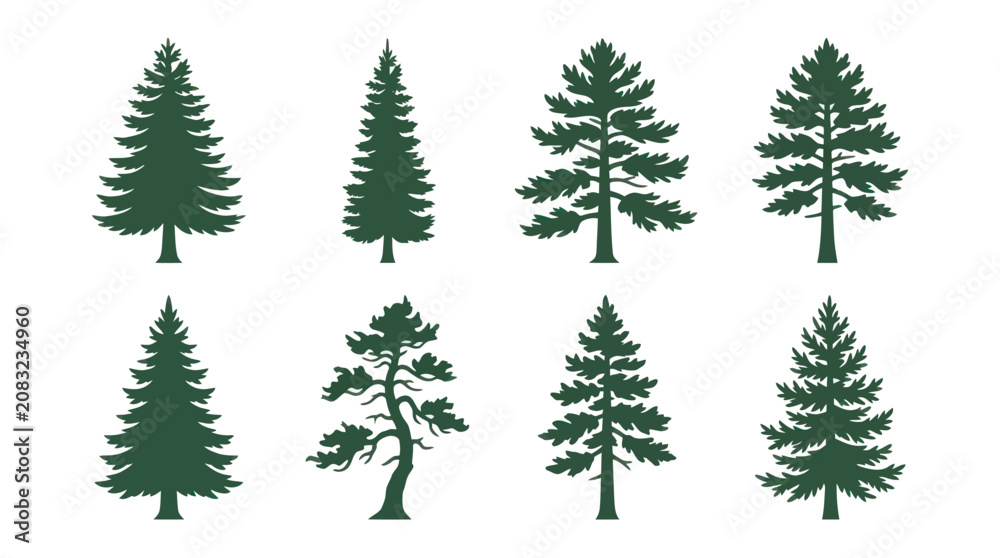 Obraz premium Variety of evergreen tree silhouettes
