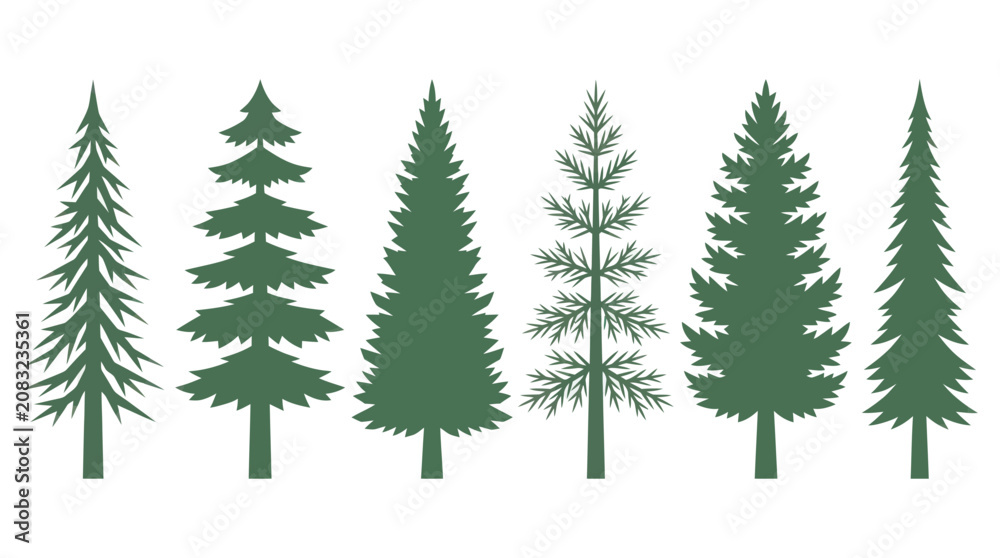 Obraz premium Variety of evergreen trees collection