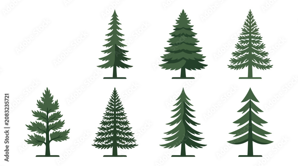 Obraz premium Various evergreen tree illustrations