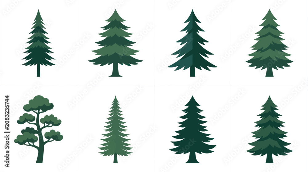 Obraz premium Various evergreen tree illustrations