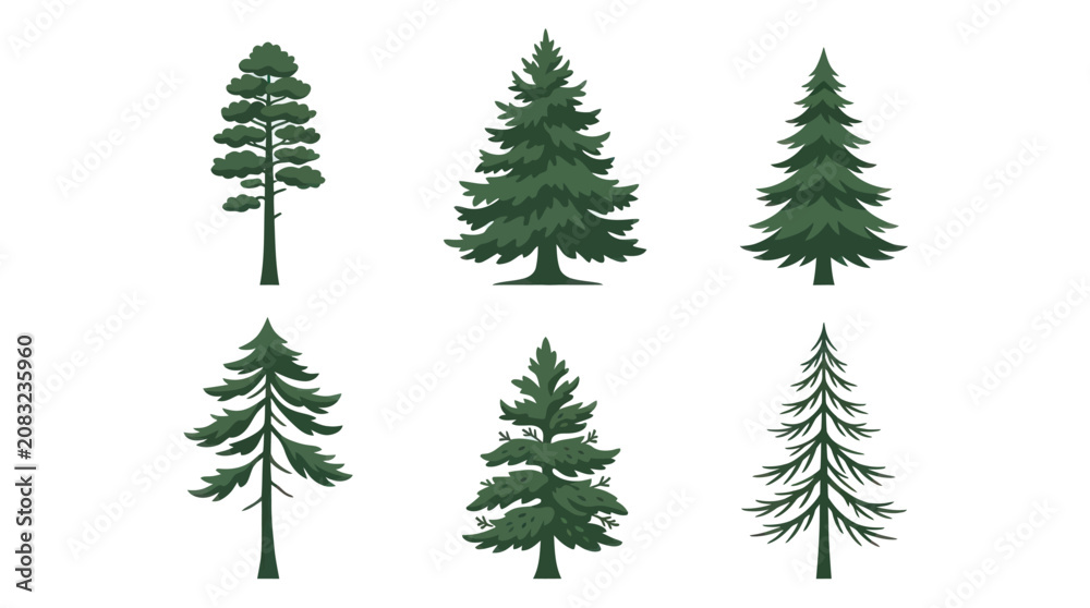 Obraz premium Various evergreen tree illustrations
