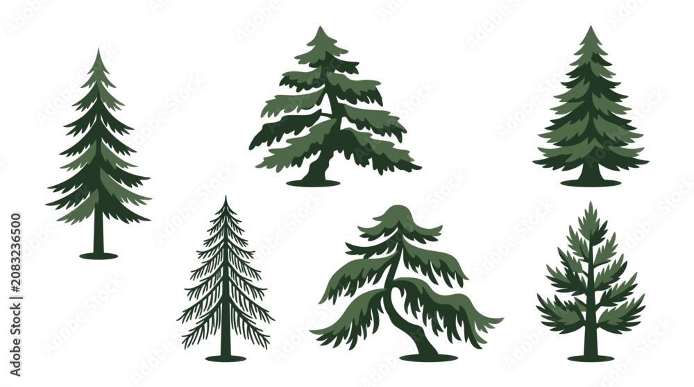 Obraz premium Variety of pine trees illustration