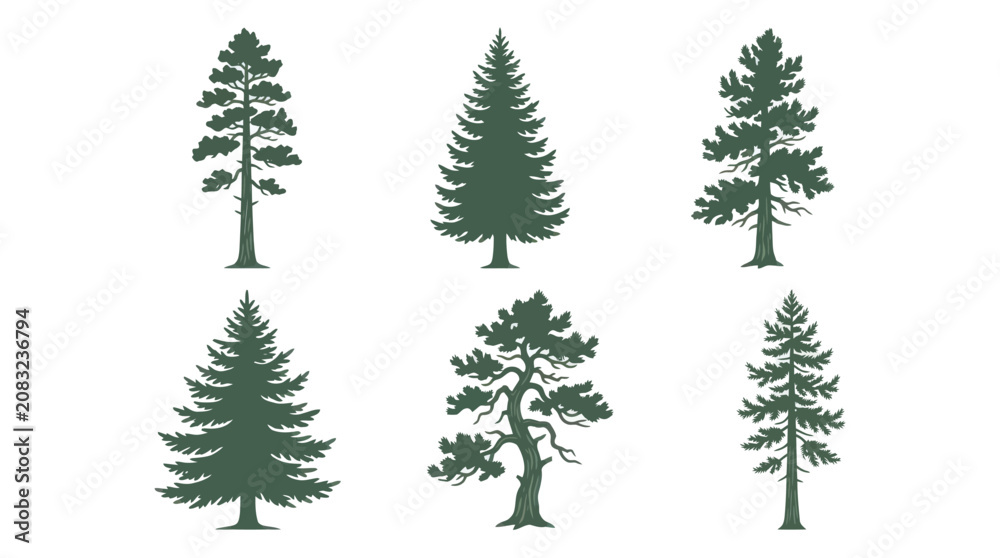Obraz premium Variety of evergreen tree silhouettes