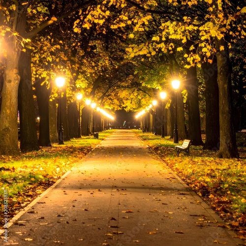 autumn in the park