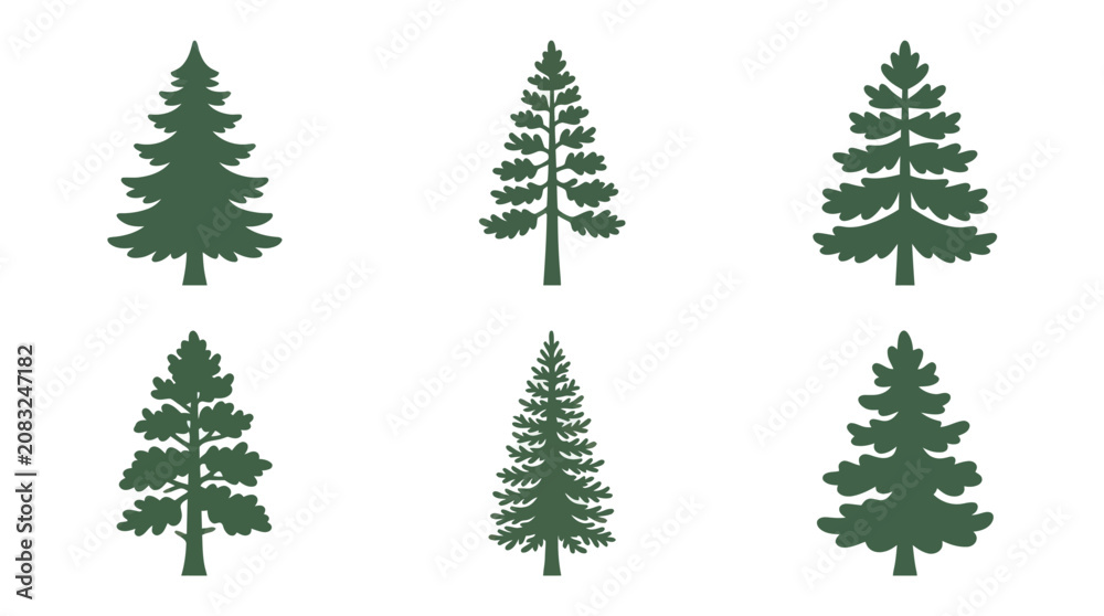 Obraz premium Various evergreen tree silhouettes
