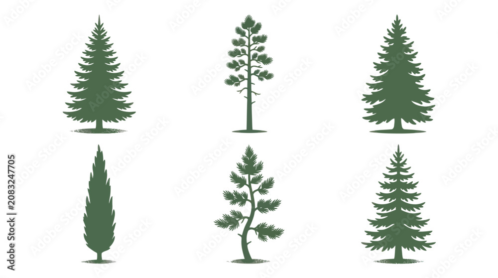 Fototapeta premium Various evergreen tree silhouettes